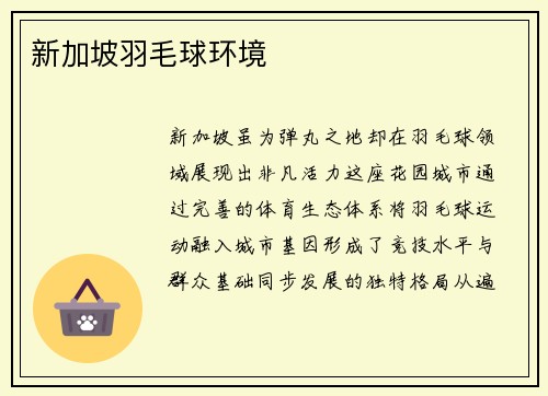 新加坡羽毛球环境